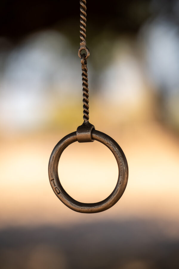 Tim Daly Handmade Snaffle - Image 2